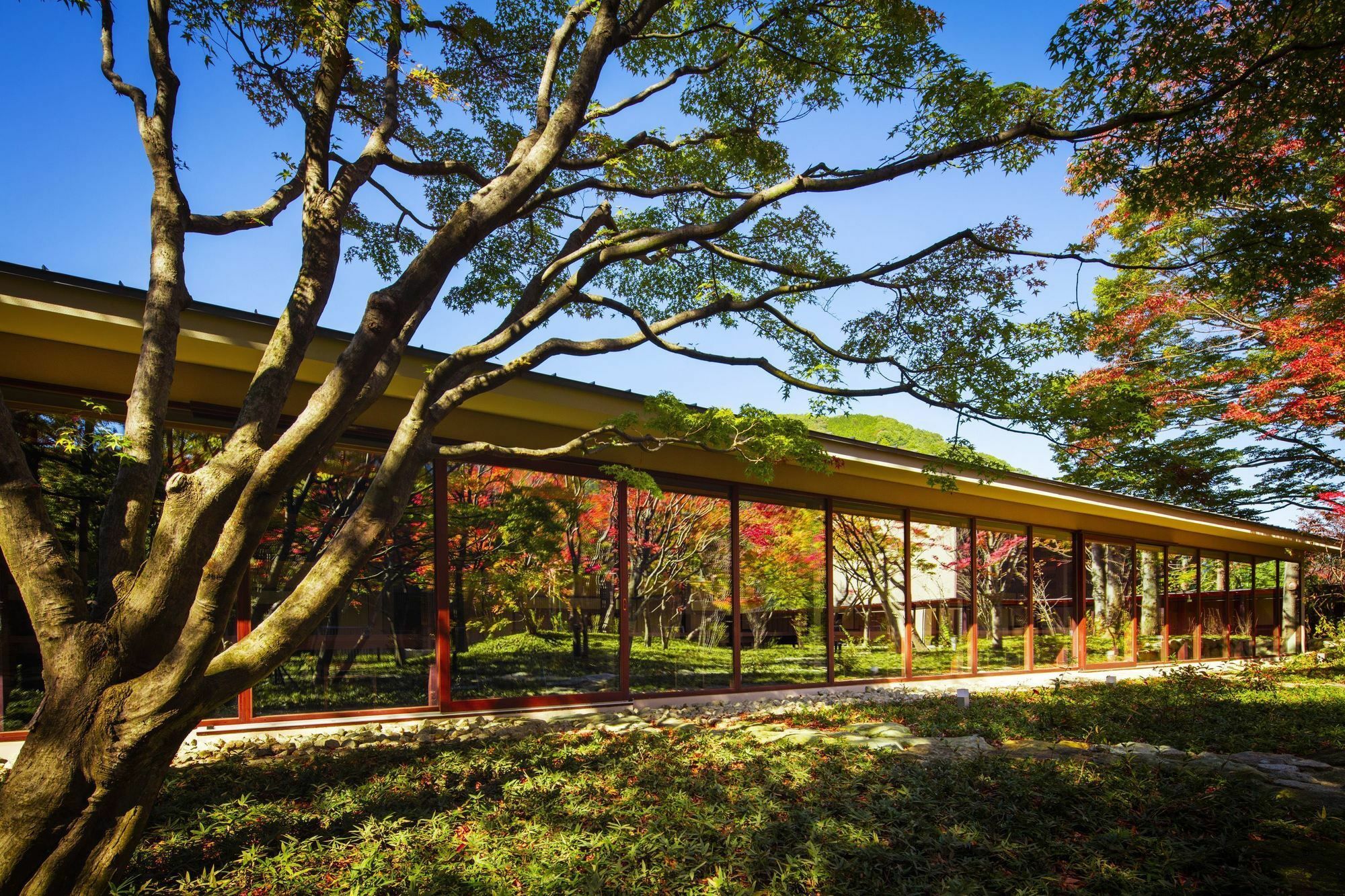 Hoshino Resorts Kai Kinugawa Nikko Esterno foto